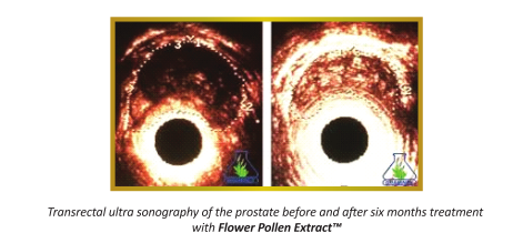 Flower Pollen Extract